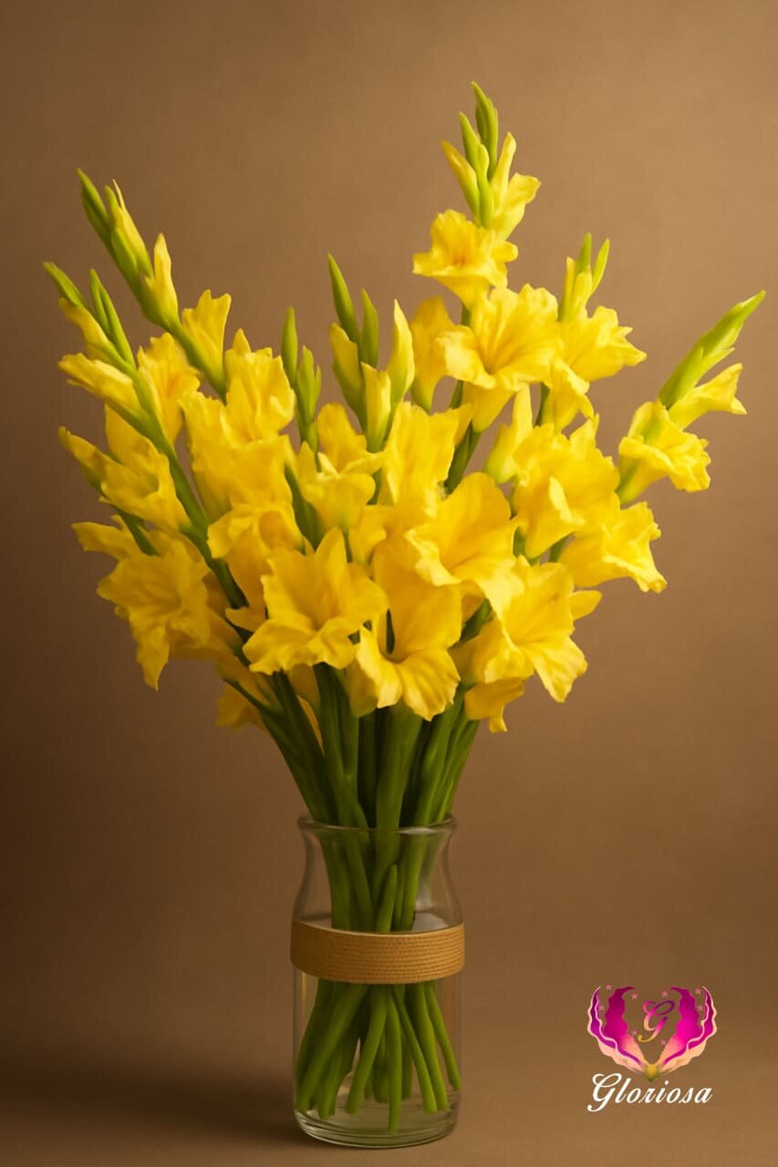 Yellow gladiolus arrangement in rustic ceramic vase
